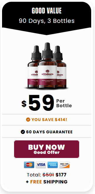 VittaBurn-3-bottle - order-now-( Ninety Days Supply) - image